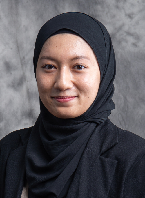 This image for Image Layouts addon