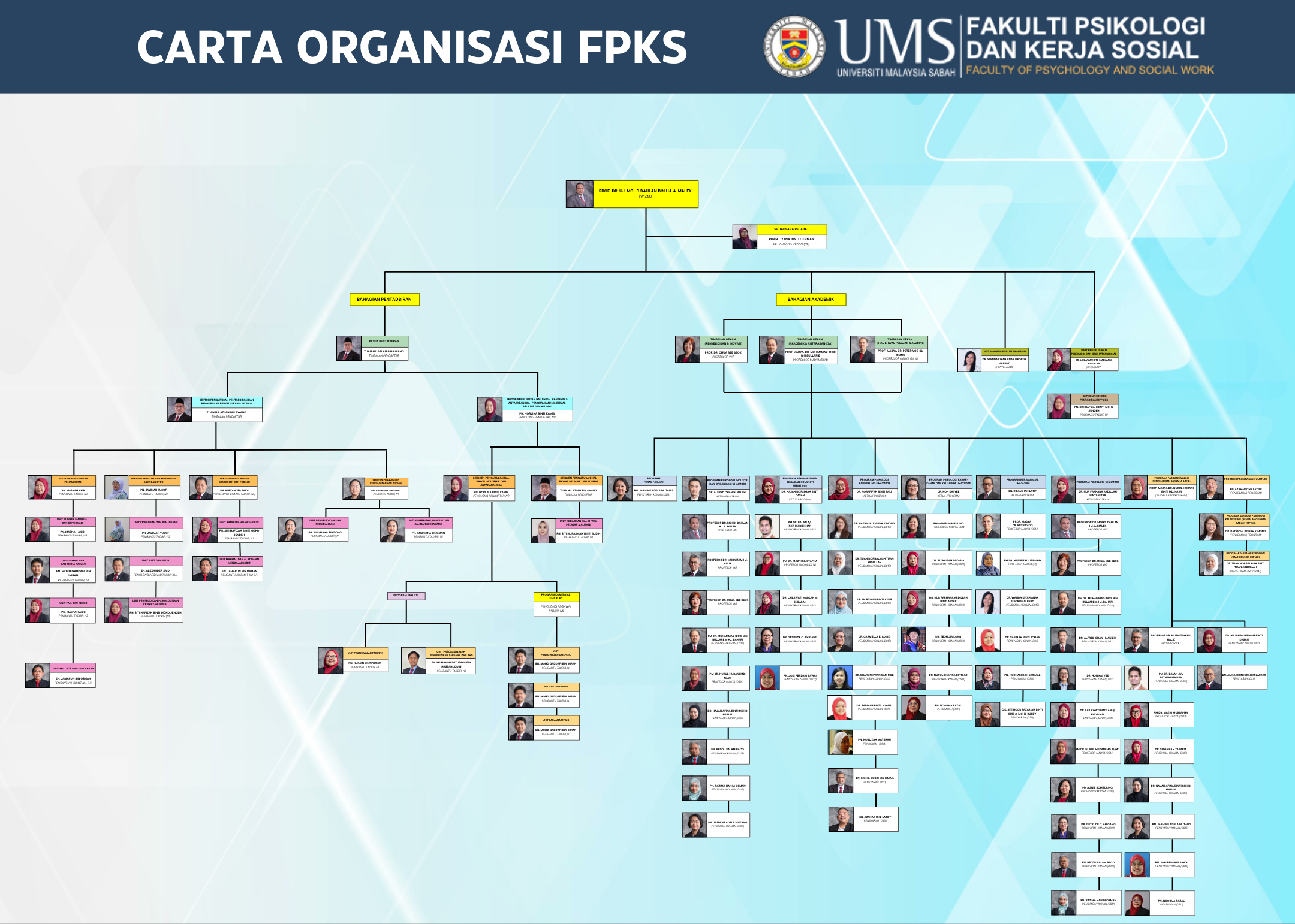 Carta Organisasi