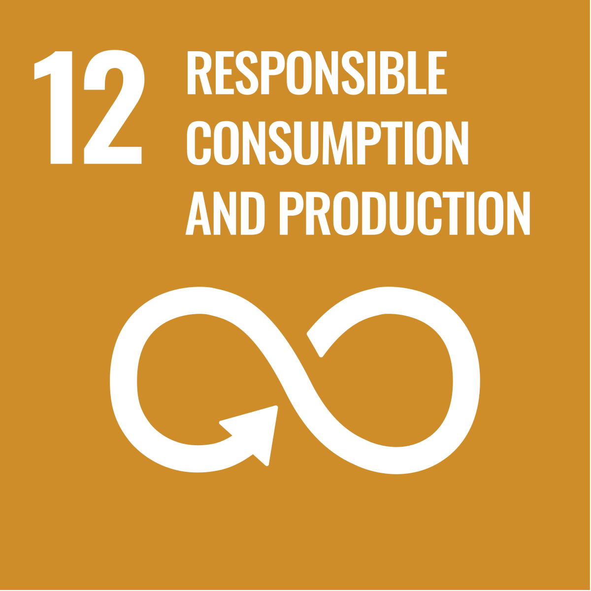 SDG 12: Responsible Consumption and Production
