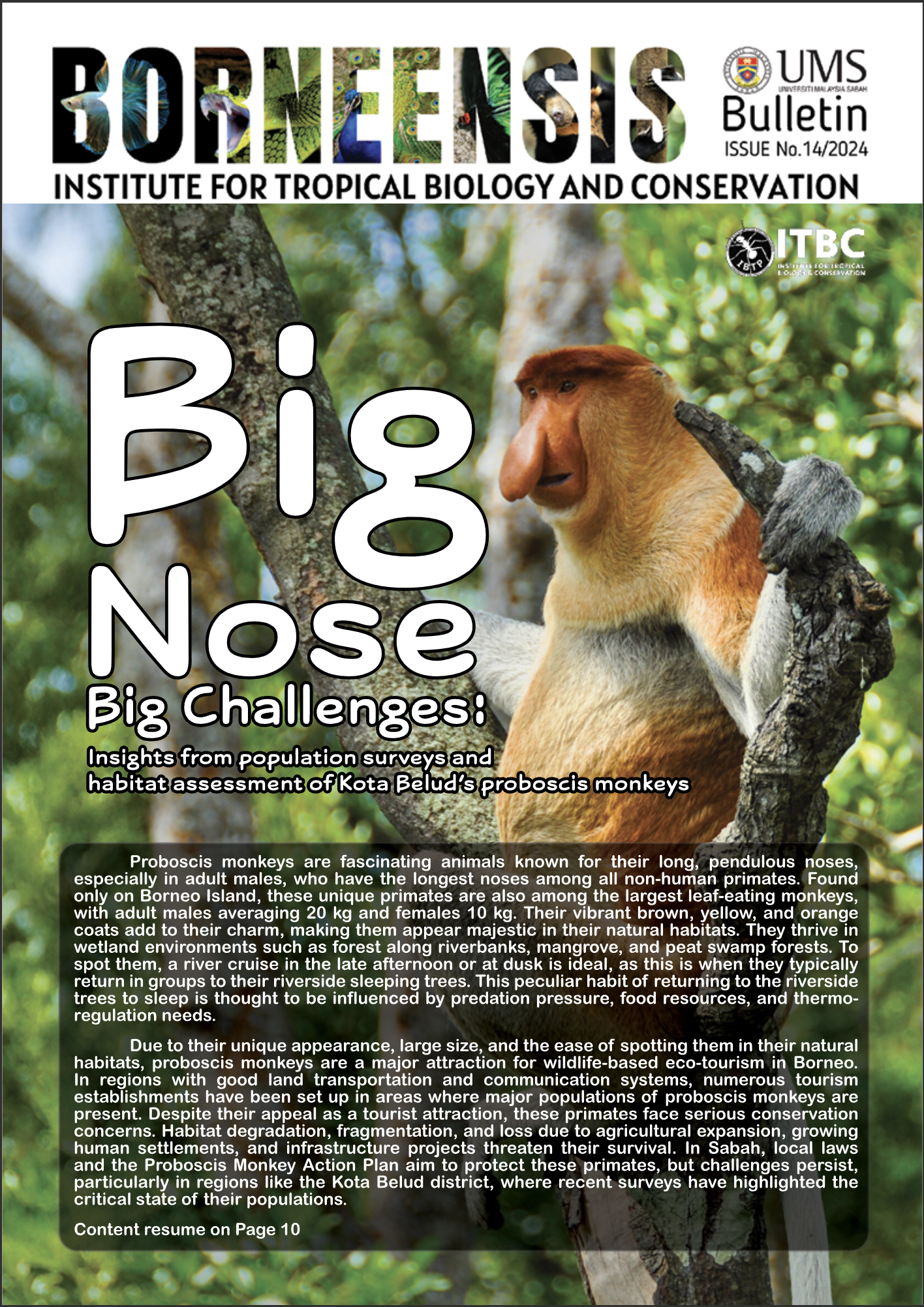 BORNEENSIS BULLETIN ISSUE NO.14/2024
