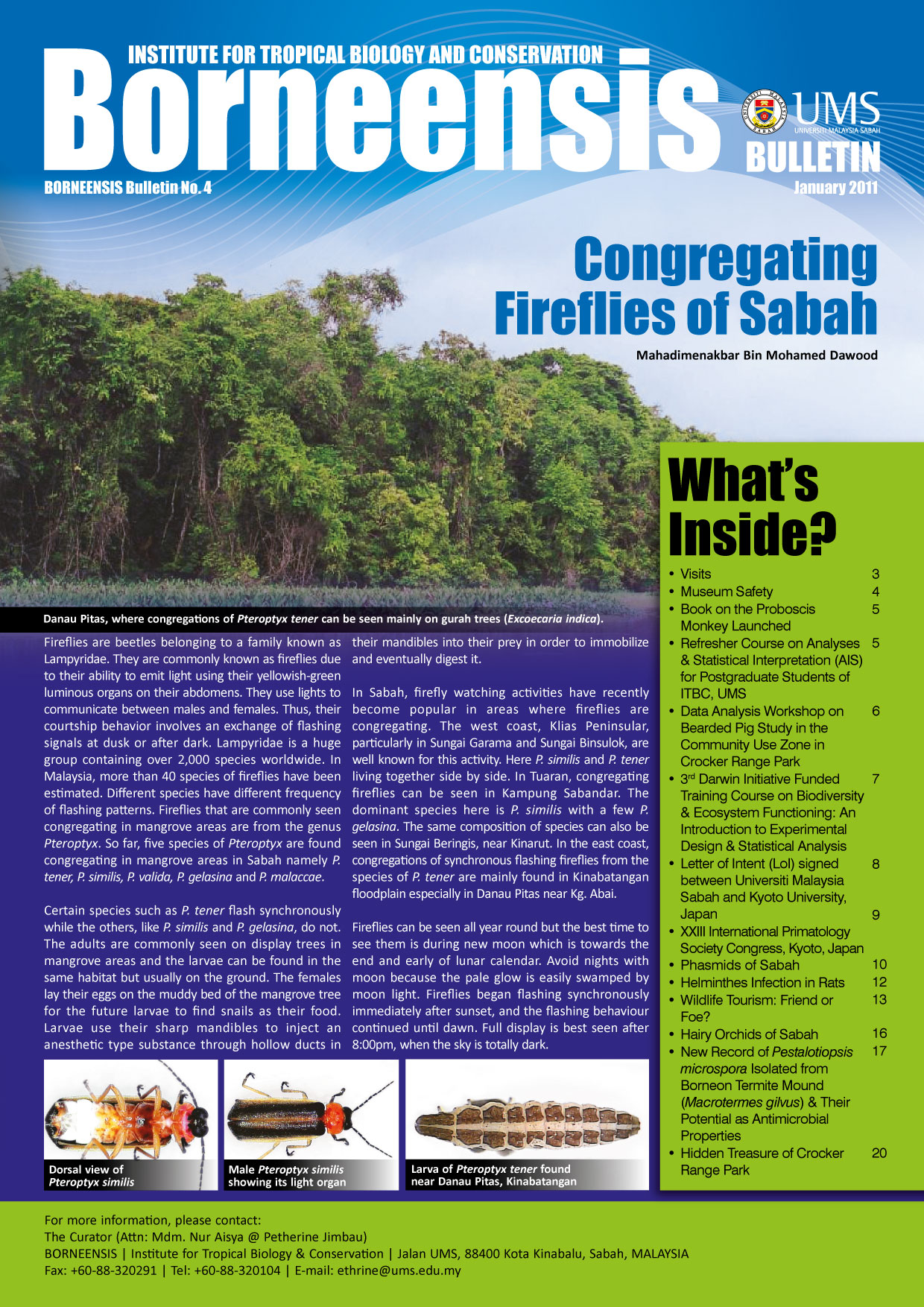 BORNEENSIS BULLETIN ISSUE NO.04/2011