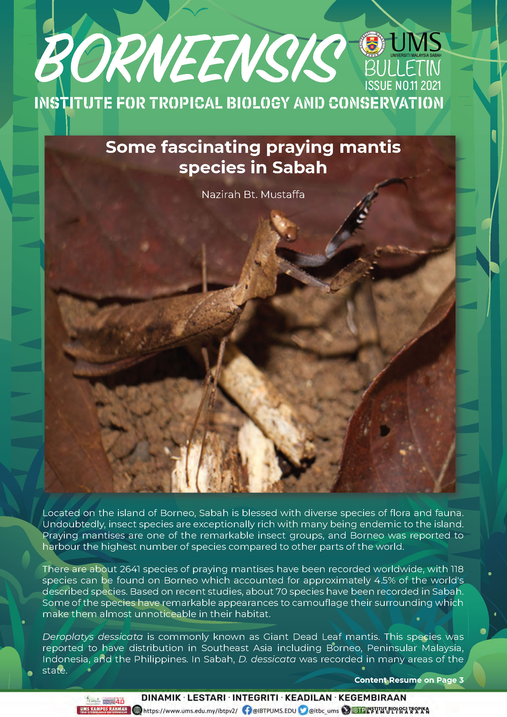 BORNEENSIS BULLETIN ISSUE NO.11/2021