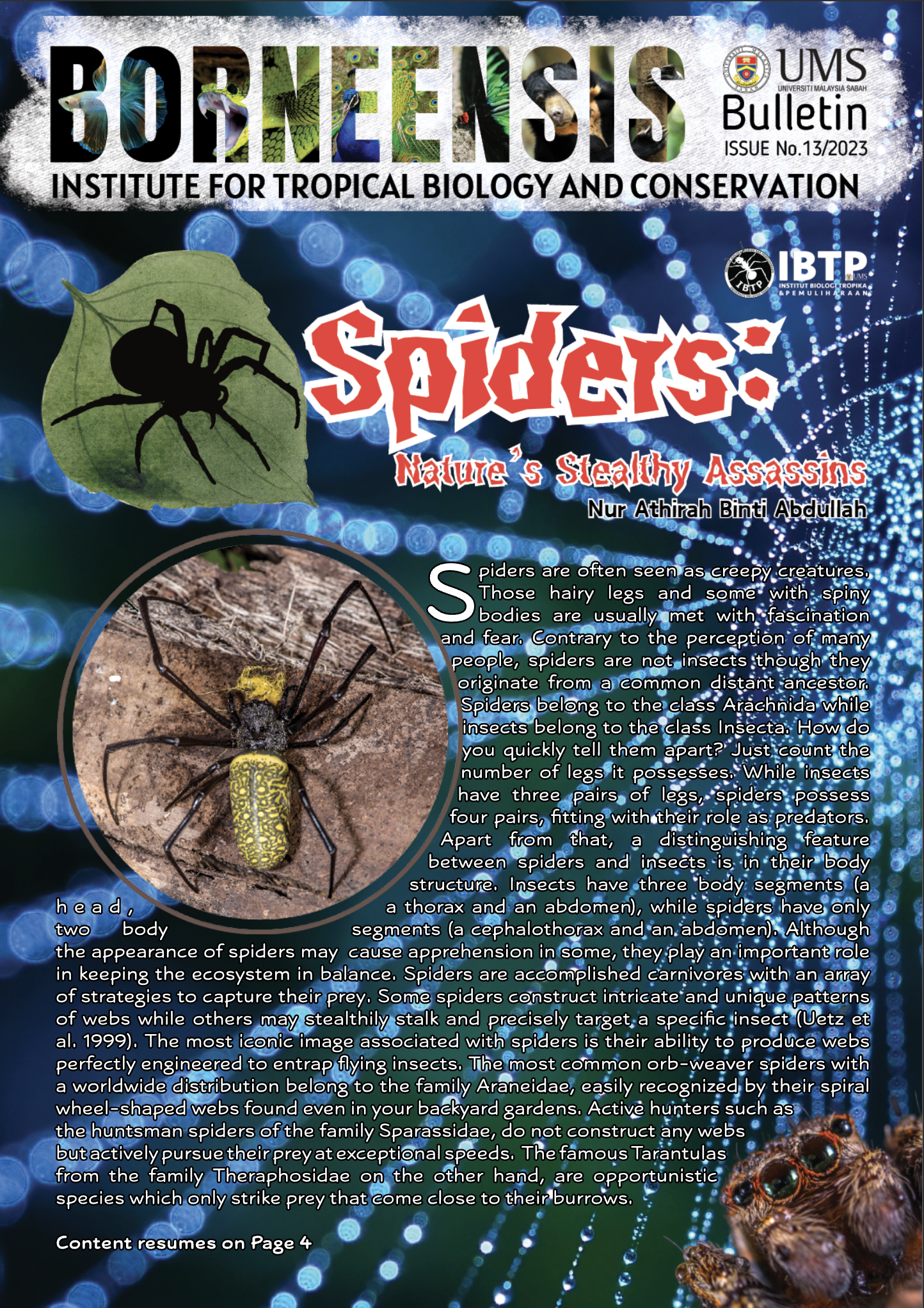 BORNEENSIS BULLETIN ISSUE NO.13/2023