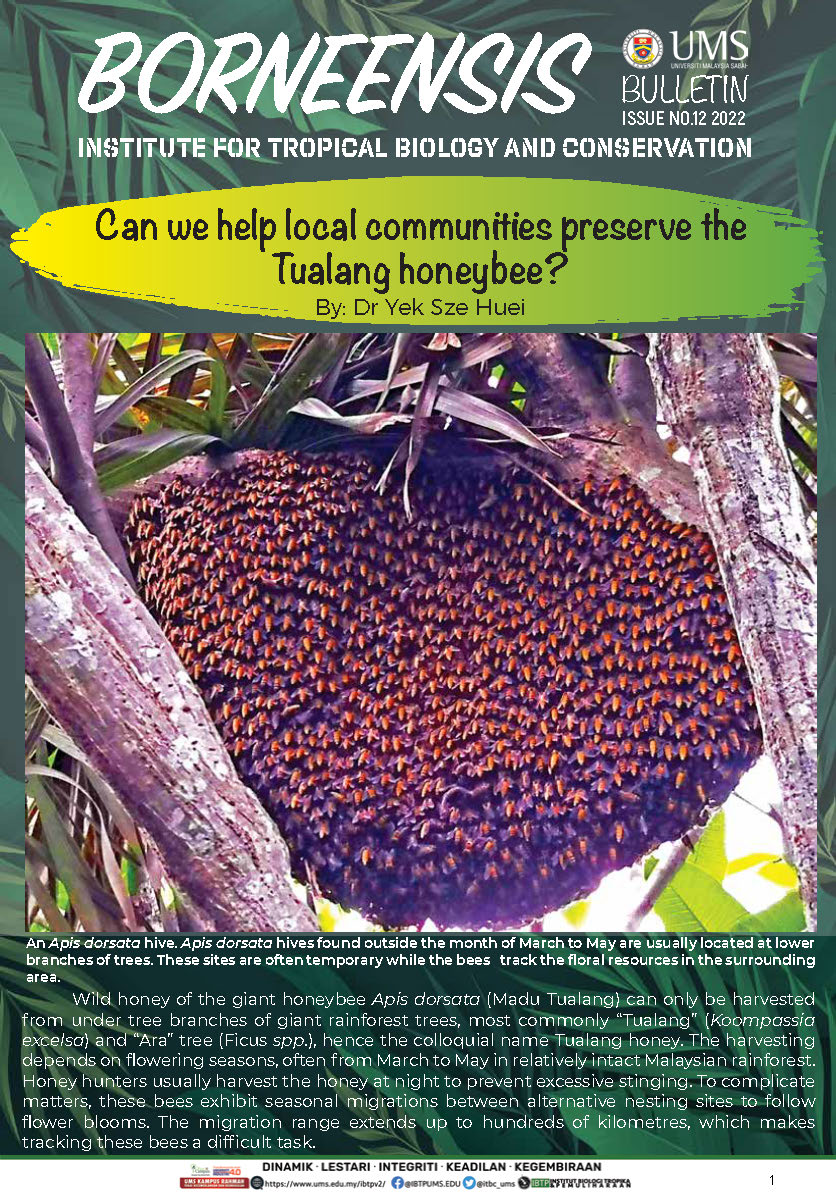 BORNEENSIS BULLETIN ISSUE NO.12/2022