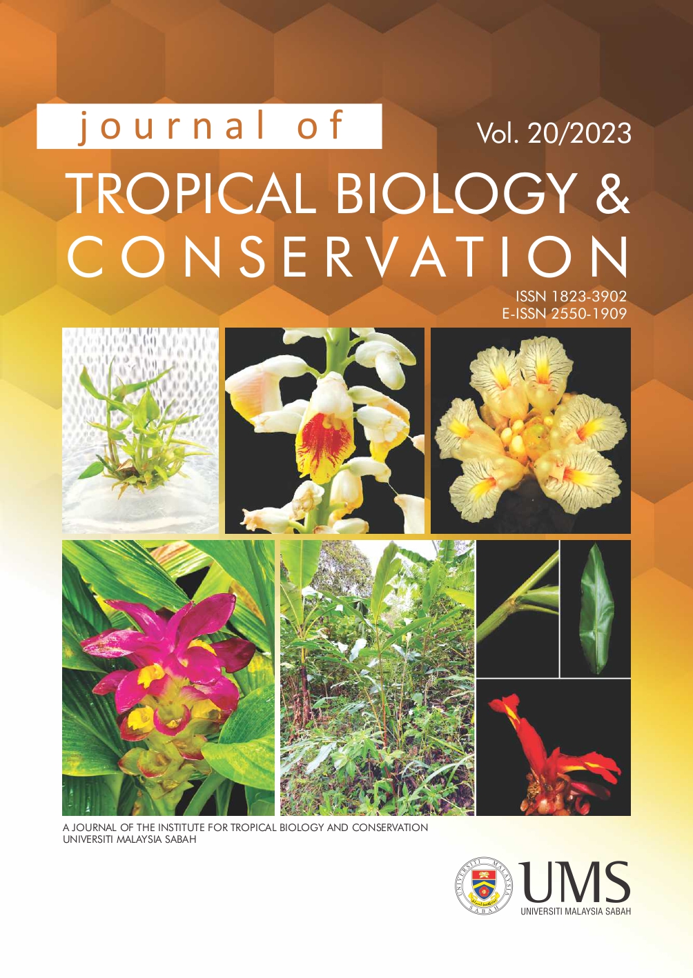 Vol. 20 (2023): Journal of Tropical Biology and Conservation