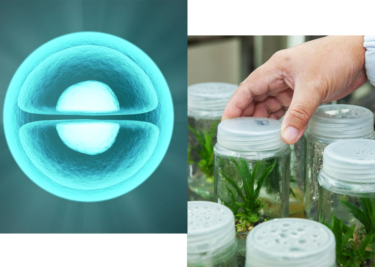 THE AMAZING SLIDESHOW ADDON!