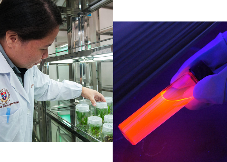 THE AMAZING SLIDESHOW ADDON!