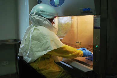 Biology Safety Lab-3 (BSL-3) Image