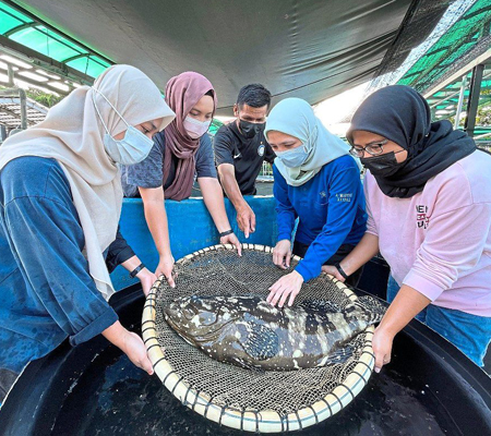 This image for Image Layouts addon