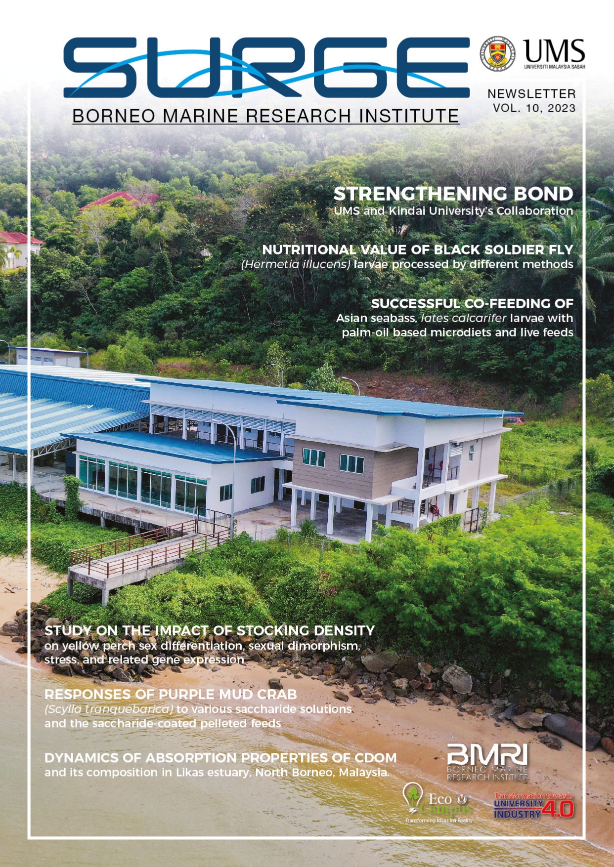 SURGE VOL. 10 (2023)