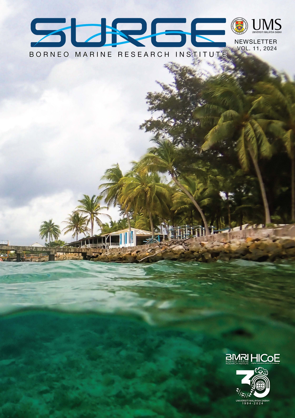 SURGE VOL. 11 (2024)
