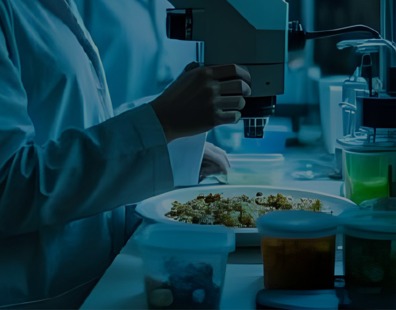 THE AMAZING SLIDESHOW ADDON!