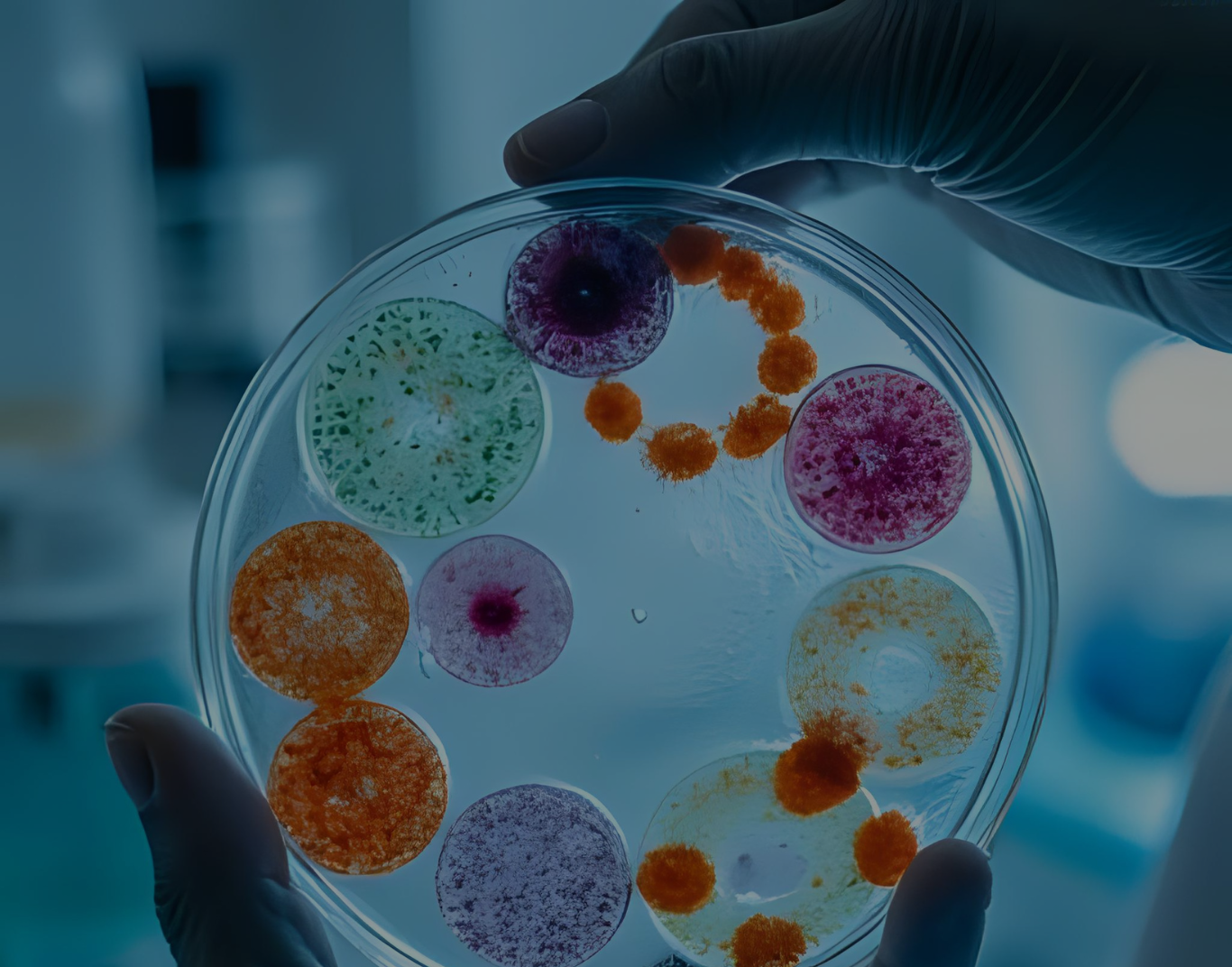 THE AMAZING SLIDESHOW ADDON!