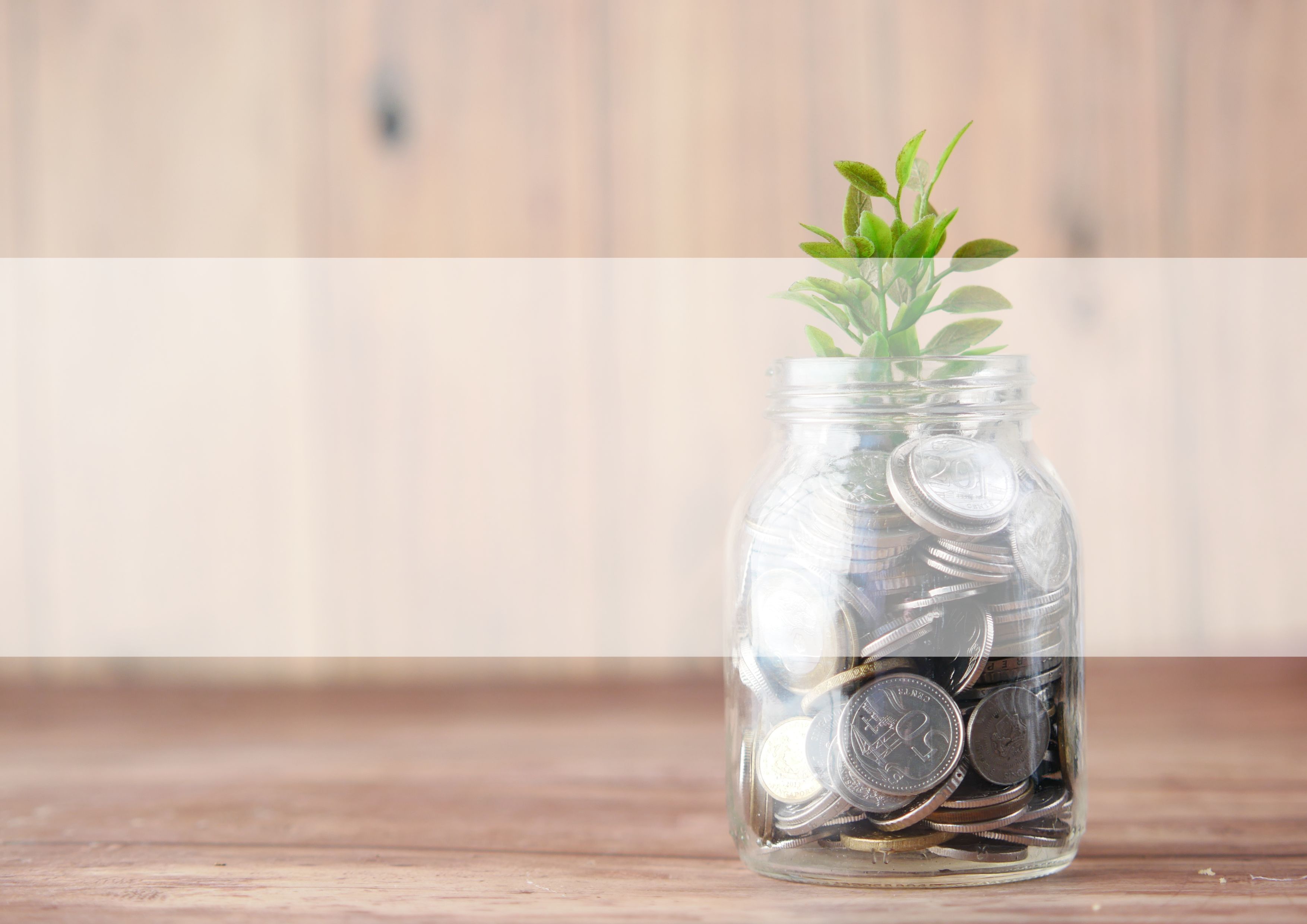 Commercialisation Fund